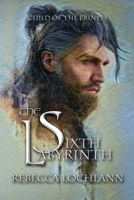 The Sixth Labyrinth 0983827796 Book Cover