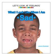 What I Look Like When I Am Sad (Let's Look at Feelings) 1404225072 Book Cover