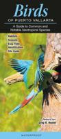 Birds of Puerto Vallarta: A Guide to Common & Notable Neotropical Species 1936913488 Book Cover