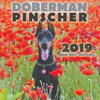 Doberman Pinscher 2019 Mini Wall Calendar 1642522473 Book Cover