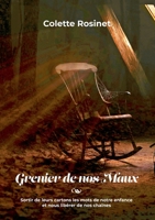 Grenier de nos maux: Sortir de leurs cartons les mots de notre enfance et nous libérer de nos chaînes 232237671X Book Cover