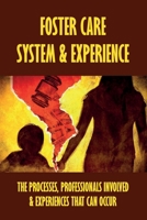 Foster Care System & Experience: The Processes, Professionals Involved & Experiences That Can Occur: Learning Through The Experiences Of A Social Worker B097XFT16Z Book Cover