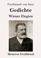 Gedichte / Wiener Elegien (Großdruck) (German Edition) 3847838377 Book Cover