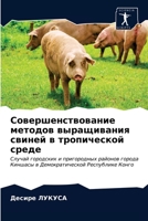 Совершенствование методов выращивания свиней в тропической среде: Случай городских и пригородных районов города Киншасы в Демократической Республике Конго 6202925094 Book Cover