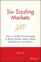 Six Sizzling Markets: How to Profit from Investing in Brazil, Russia, India, China, South Korea, and Mexico 111908704X Book Cover