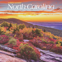 North Carolina Wild & Scenic 2025 12 X 24 Inch Monthly Square Wall Calendar Plastic-Free 1975475445 Book Cover