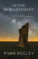 In the Bewilderment 1960293273 Book Cover