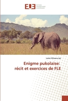 Enigme pukolaise: récit et exercices de FLE 6138487389 Book Cover