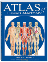 Atlas of Human Anatomy (Quickstudy Books) 1423201728 Book Cover