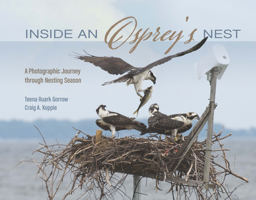 Inside an Osprey's Nest: A Photographic Journey Through Nesting Season 0764352008 Book Cover