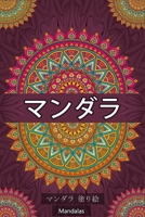 :   100- & B085RRNYLT Book Cover