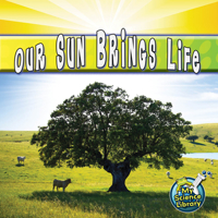 Our Sun Brings Life 1617417238 Book Cover