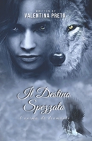 Il destino spezzato: l'anima di diamante (Il destino proibito) (Italian Edition) B0CTK7V8HF Book Cover