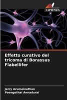 Effetto curativo del tricoma di Borassus Flabellifer (Italian Edition) 6204713418 Book Cover