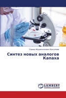 Синтез новых аналогов Ка 6207468430 Book Cover