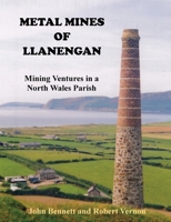 Metal Mines of Llanengan: Mining Ventures in a North Wales Parish 1838362118 Book Cover
