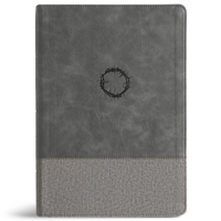 CSB Super Giant Print Reference Bible, Optimal Type, Digital Study Edition, Charcoal Leathertouch, Indexed B0FP8CNGGC Book Cover