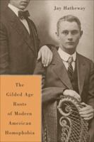 The Gilded Age Construction of American Homophobia 0312234929 Book Cover