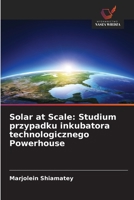 Solar at Scale: Studium przypadku inkubatora technologicznego Powerhouse (Polish Edition) 6208928877 Book Cover