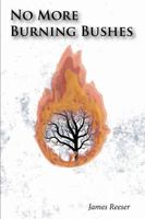 No More Burning Bushes: Finding meaning in the one time events of the Bible 1985377780 Book Cover