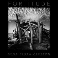 Fortitude B0FMNNHFKW Book Cover