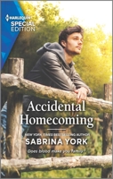 Accidental Homecoming 1335408029 Book Cover