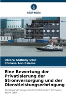 Eine Bewertung der Privatisierung der Stromversorgung und der Dienstleistungserbringung (German Edition) 6207430301 Book Cover