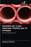 Gasdotti per il gas naturale: Politica per lo sviluppo: Movimento globale del gas 6203249416 Book Cover