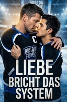 LIEBE BRICHT DAS SYSTEM (German Edition) B0GWJ1DGNS Book Cover