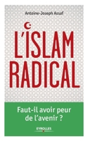 L'Islam radical: Faut-il avoir peur de l'avenir ? (French Edition) 2212560095 Book Cover