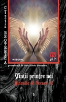 Sfinții printre noi: Minunile de fiecare zi! 6069923340 Book Cover