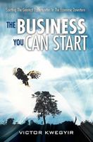 The Business You Can Start: Spotting The Greatest Opportunities In The Economic Downturn 0956770614 Book Cover