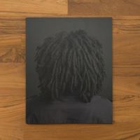 The Testament Project Volume 01 0988418363 Book Cover