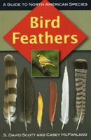 Bird Feathers: A Guide to North American Species 0811736180 Book Cover
