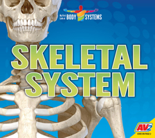 Skeletal System (My First Look at Body Systems) 1791118763 Book Cover