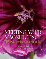 Meeting Your Magnificence: 111 Ways to Live from Your Higher Self 1612546854 Book Cover