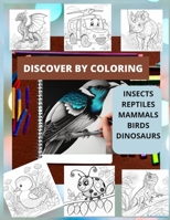 DISCOVER COLORING B0C2RFTWHV Book Cover