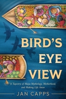 Bird's Eye View: A Tapestry of Maya Mythology, Motherhood, and Making Life Anew B0CMVZKD2V Book Cover