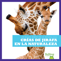 Crías de Jirafa En La Naturaleza (Giraffe Calves in the Wild) (¡Animales Bebés En La Naturaleza! (Baby Animals in the Wild!)) B0BGN62M3J Book Cover