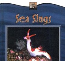 Sea Slugs (Weird Wonders of the Deep) 0836845633 Book Cover
