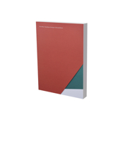 Flurin Bisig: Unformed Desire 3864423880 Book Cover