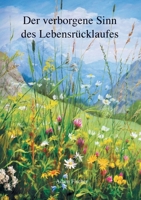 Der verborgene Sinn des Lebensr�cklaufes 3347338820 Book Cover