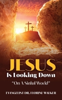 Jesus Is Looking Down "On A Sinful World" B0CVG5STHY Book Cover