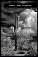 Sonora Desert In Infrared B0DTTTKDQD Book Cover