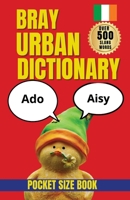 Bray Urban Dictionary: A Funny Guide to Bray Banter, Slang, and Local Expressions (Slang Dictionary) B0HJ2TRWC7 Book Cover