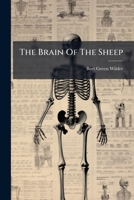 The Brain Of The Sheep: Being Part Iv, Revised Of Physiology Practicums: Explicit Directions For Examining Portions Of The Cat, And The Heart, Eye, ... An Aid In The Study Of Elementary Physiology 127690956X Book Cover