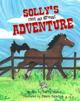 Solly's not-so-great Adventure 149351282X Book Cover