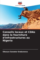 Conseils locaux et CDAs dans la fourniture d'infrastructures au Nigeria (French Edition) 6208865263 Book Cover