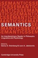 Semantics: An Interdisciplinary Reader in Philosophy, Linguistics and Psychology 0521204992 Book Cover