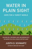 Water in Plain Sight: Hope for a Thirsty World 1603589163 Book Cover